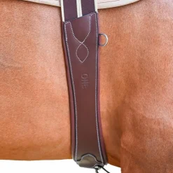 New Jump'In - Sangle élastique Safety One noisette Marron