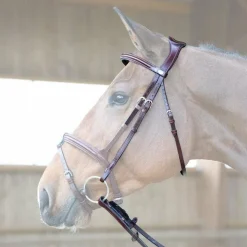 Discount Jump'In - Têtière + rênes Evolution noisette Marron