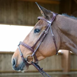 Discount Jump'In - Têtière + rênes Evolution noisette Marron