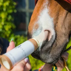 Hot Karitale - Baume de soin anti-UV