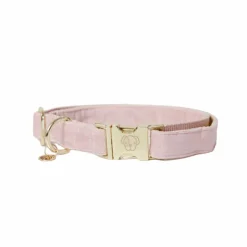 Kentucky Dogwear - Colliers pour chiens Velvet tendre Rose Clearance
