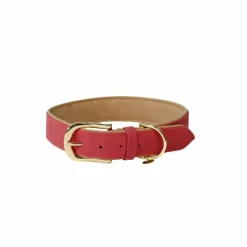 Kentucky Dogwear - Collier pour chien vegan leather red/beige Rouge Online