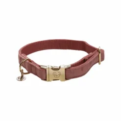 Best Kentucky Dogwear - Colliers pour chiens Velvet Rose