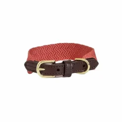 Kentucky Dogwear - Collier pour chien Jacquard terre cuite Orange Hot