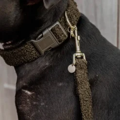 Kentucky Dogwear - Collier pour chien Teddy Fleece sapin Vert Sale