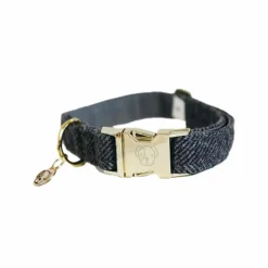 Discount Kentucky Dogwear - Collier pour chiens Wool Gris