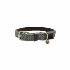 Kentucky Dogwear - Collier pour chiens Gris Online