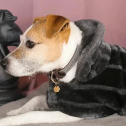 Kentucky Dogwear - Collier pour chiens Gris Online