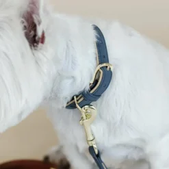New Kentucky Dogwear - Collier pour chien vegan leather navy/beige Marine
