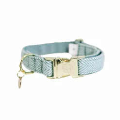 Best Kentucky Dogwear - Collier pour chiens Wool clair Bleu