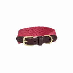 Hot Kentucky Dogwear - Collier pour chien Jacquard Rose