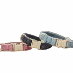 Kentucky Dogwear - Collier pour chiens Wool Rose Hot