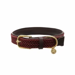 Sale Kentucky Dogwear - Colliers pour chiens Bordeaux