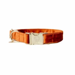 Online Kentucky Dogwear - Colliers pour chiens Velvet Orange