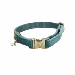 Kentucky Dogwear - Colliers pour chiens Velvet ciel Bleu Hot