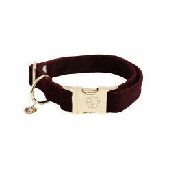 Kentucky Dogwear - Colliers pour chiens Corduroy Bordeaux Best