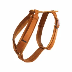 Kentucky Dogwear - Harnais pour chien actif velvet orange Online