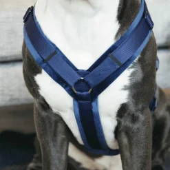 Kentucky Dogwear - Harnais pour chien actif velvet marine