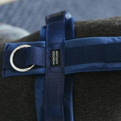 Kentucky Dogwear - Harnais pour chien actif velvet marine