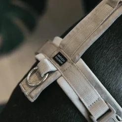 Online Kentucky Dogwear - Harnais pour chien actif velvet beige