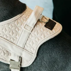 Best Kentucky Dogwear - Harnais pour chiens Body safe Wool beige