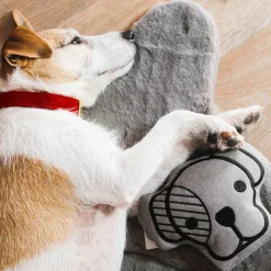 New Kentucky Dogwear - Jouet pour chien Gris