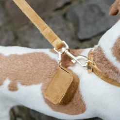 Discount Kentucky Dogwear - Laisse pour chien Velvet 2m moutarde Jaune