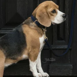 Kentucky Dogwear - Laisse en nylon tressé Plaited Nylon 200 cm Marine Sale