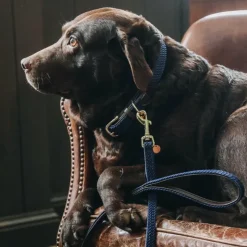 Kentucky Dogwear - Laisse en nylon tressé Plaited Nylon 200 cm Marine Sale