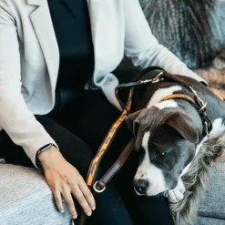 Kentucky Dogwear - Laisse pour chien perles faites main 250 cm orange/noir Sale