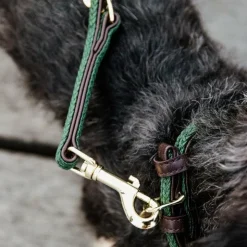 Kentucky Dogwear - Laisse en nylon tressé Plaited Nylon 200 cm olive Vert Clearance