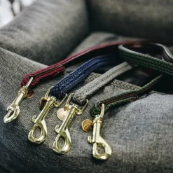 Kentucky Dogwear - Laisse en nylon tressé Plaited Nylon 200 cm olive Vert Clearance