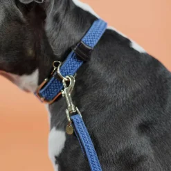 Kentucky Dogwear - Laisse de nylon tressé Plaited Nylon 200 cm clair Bleu Best