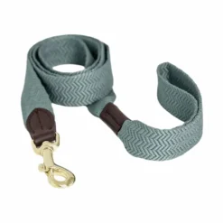Kentucky Dogwear - Laisse pour chien Jacquard ciel Bleu New