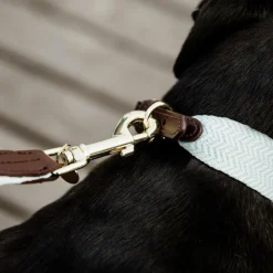 Kentucky Dogwear - Laisse pour chien Jacquard ciel Bleu New