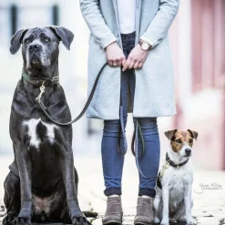 Discount Kentucky Dogwear - Laisse pour chien nylon tressé Plaited Nylon 120 cm olive Vert