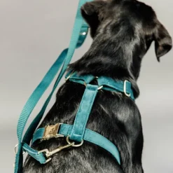 Kentucky Dogwear - Laisse pour chien Velvet 2m émeraude Bleu