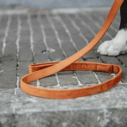 Kentucky Dogwear - Laisse pour chiens Velvet 120 cm Orange Outlet