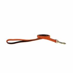 Clearance Kentucky Dogwear - Laisse de nylon tressé Plaited Nylon 200 cm Orange