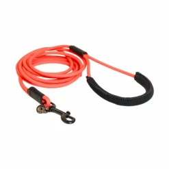 Kentucky Dogwear - Laisse d'entrainement en caoutchouc souple 3m Orange