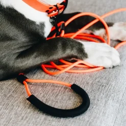 Kentucky Dogwear - Laisse d'entrainement en caoutchouc souple 3m Orange