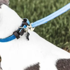 Kentucky Dogwear - Laisse pour chien Plaited Nylon 120 cm clair Bleu Hot