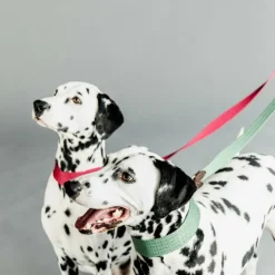 Kentucky Dogwear - Laisse pour chien Jacquard rose Sale