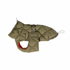 Hot Kentucky Dogwear - Manteau pour chien Pina kaki 160g Vert