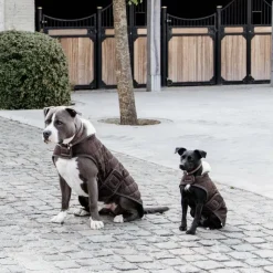 Outlet Kentucky Dogwear - Manteau pour chiens 160g Marron