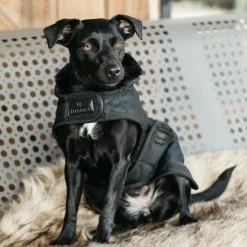 Kentucky Dogwear - Manteau pour chiens 160g Noir Outlet