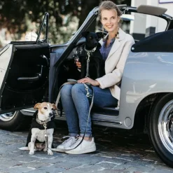 Kentucky Dogwear - Manteau pour chiens 160g Noir Outlet