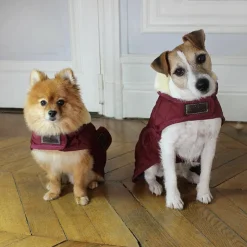 Kentucky Dogwear - Manteau pour chiens 160g Bordeaux