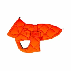 Sale Kentucky Dogwear - Manteau pour chien Pina 160g Orange