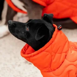 Sale Kentucky Dogwear - Manteau pour chien Pina 160g Orange